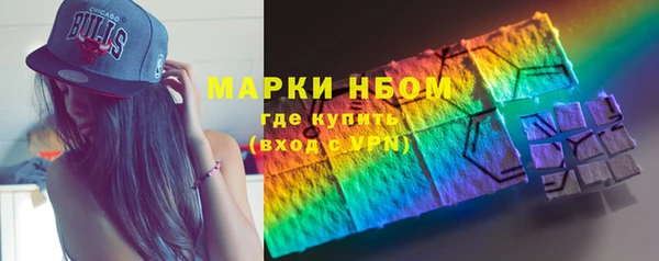 дмт Инта