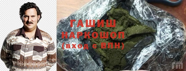 PSILOCYBIN Ельня
