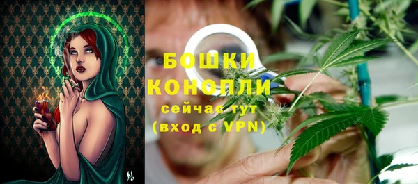 спиды Иннополис