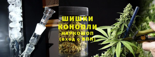 дмт Инта