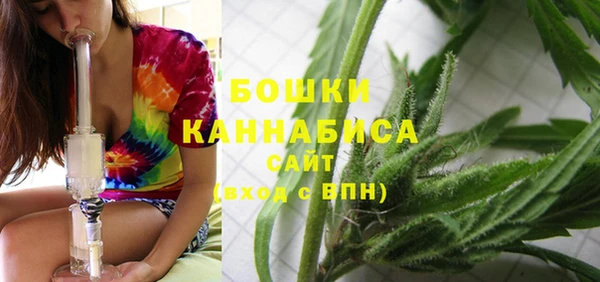 индика Заволжск