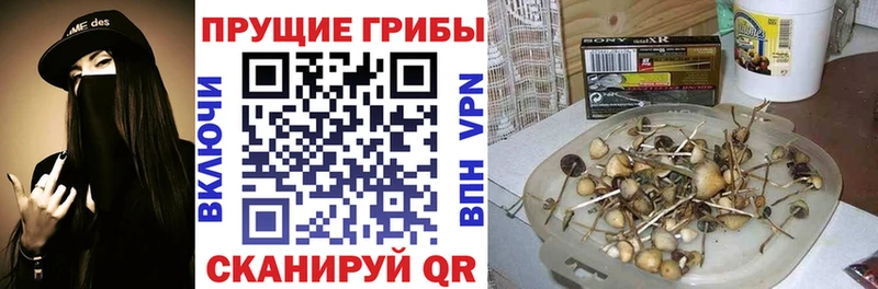 Купить где  Кушва  Галлюциногенные грибы мухоморы 